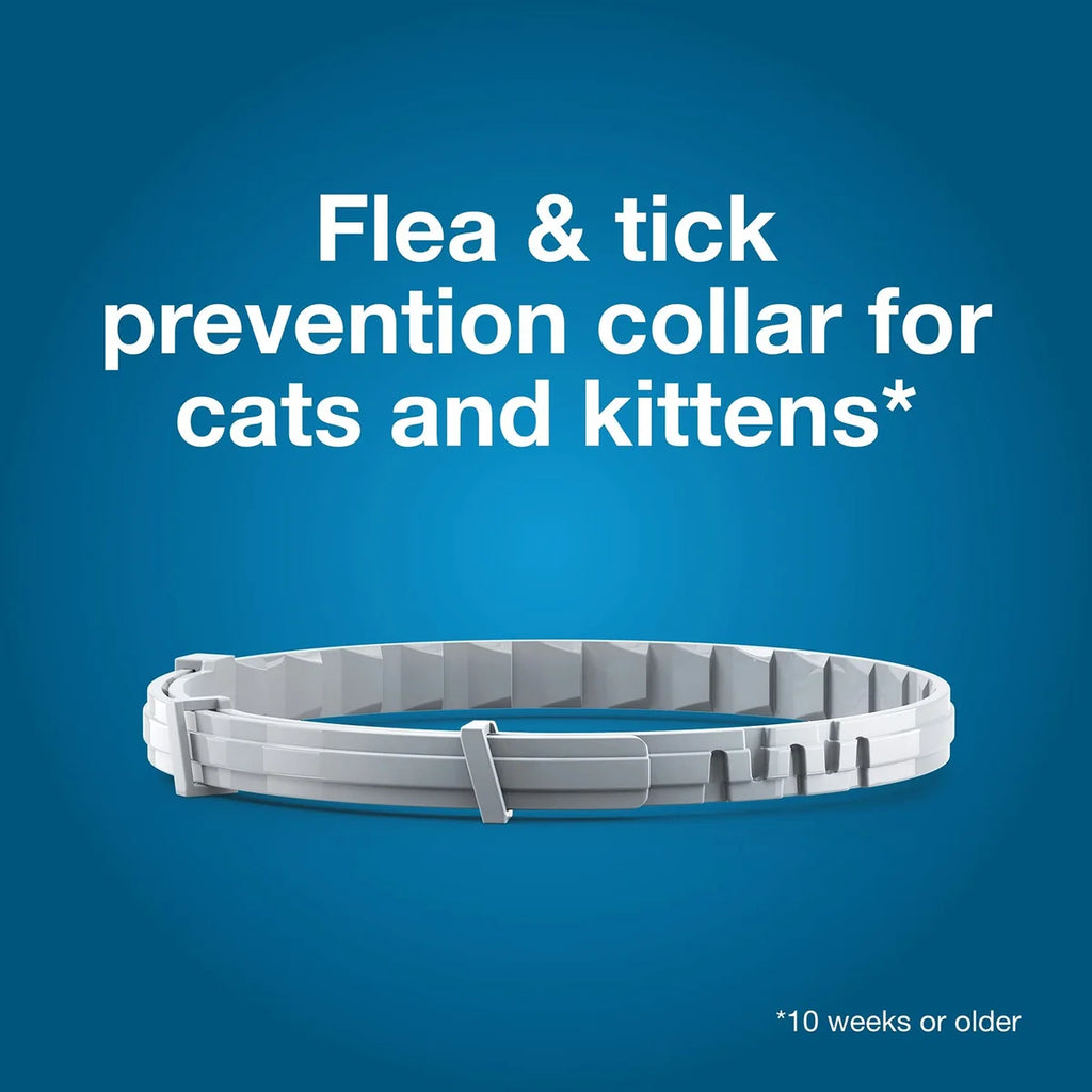 Flea & Tick Collar for Cats — 8 Month Protection, Adjustable