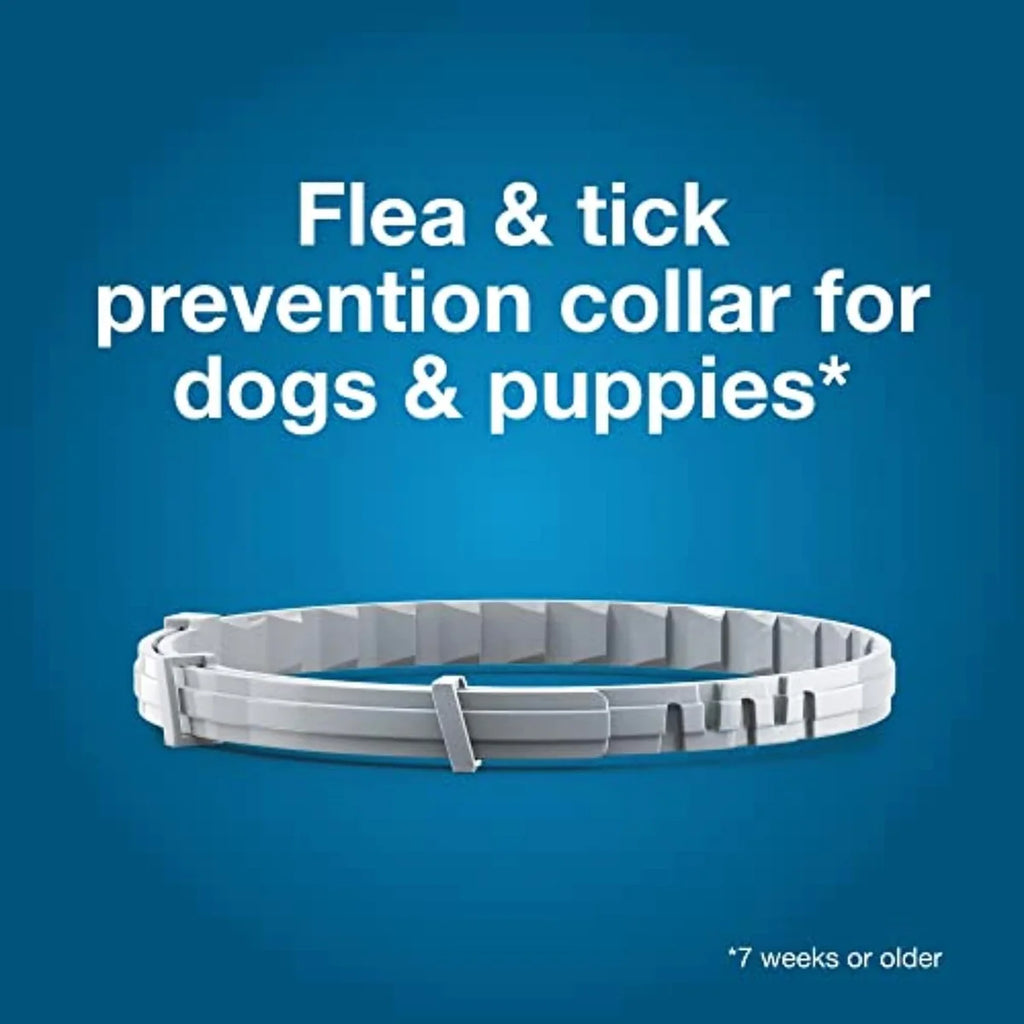 Flea & Tick Collar for Large Dogs — 8 Month Protection