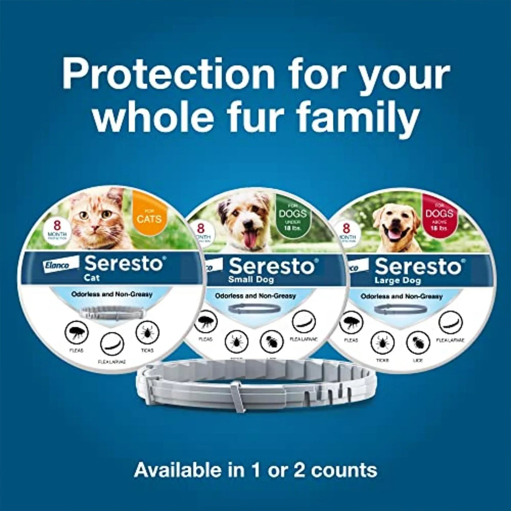 Flea & Tick Collar for Large Dogs — 8 Month Protection