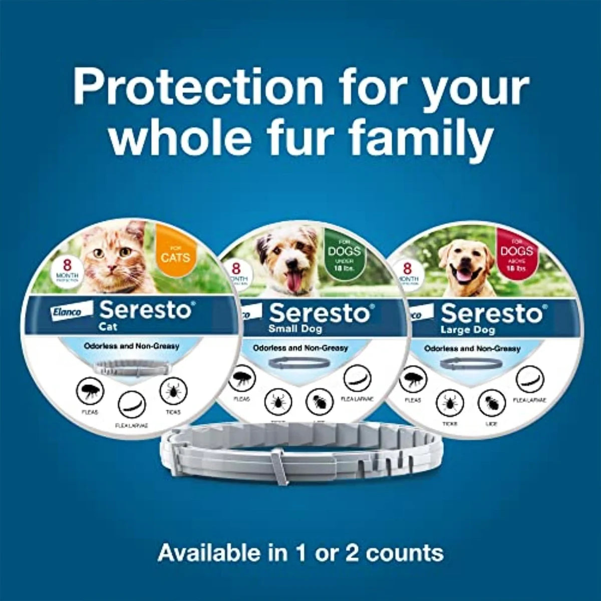 Flea & Tick Collar for Large Dogs — 8 Month Protection