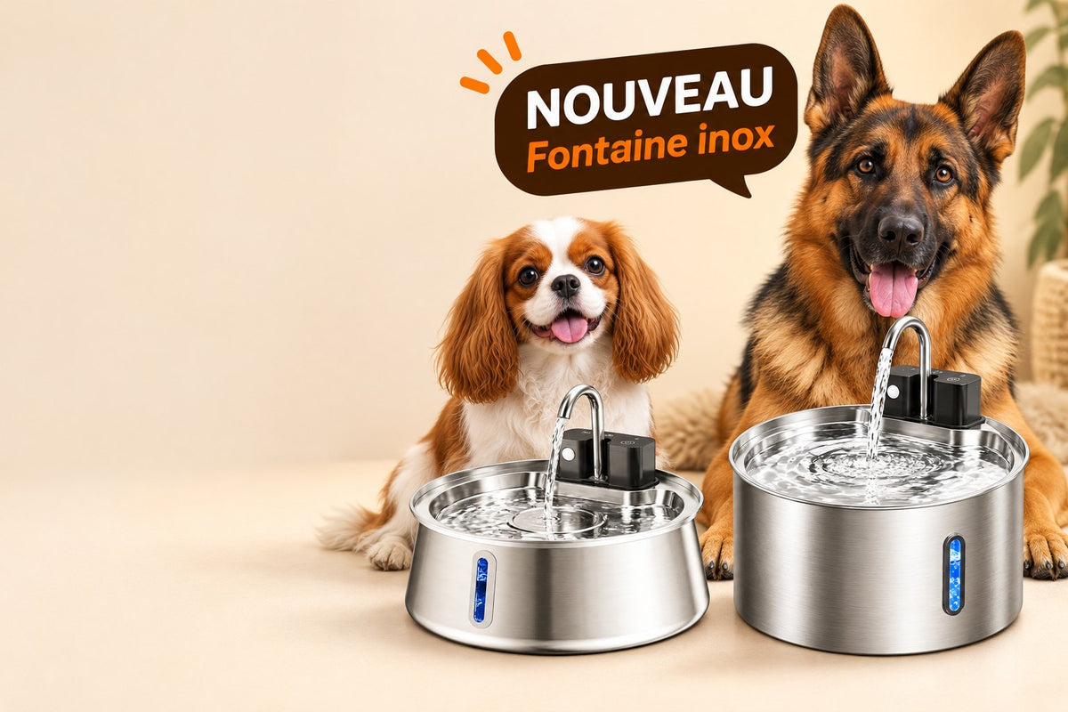 Deux chiens avec les fontaines Inmaison 4 L et 7 L